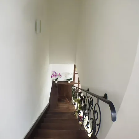 солензара * Mukacheve